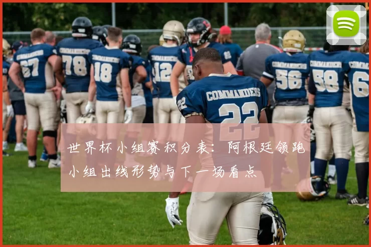 世界杯小组赛积分表：阿根廷领跑小组出线形势与下一场看点